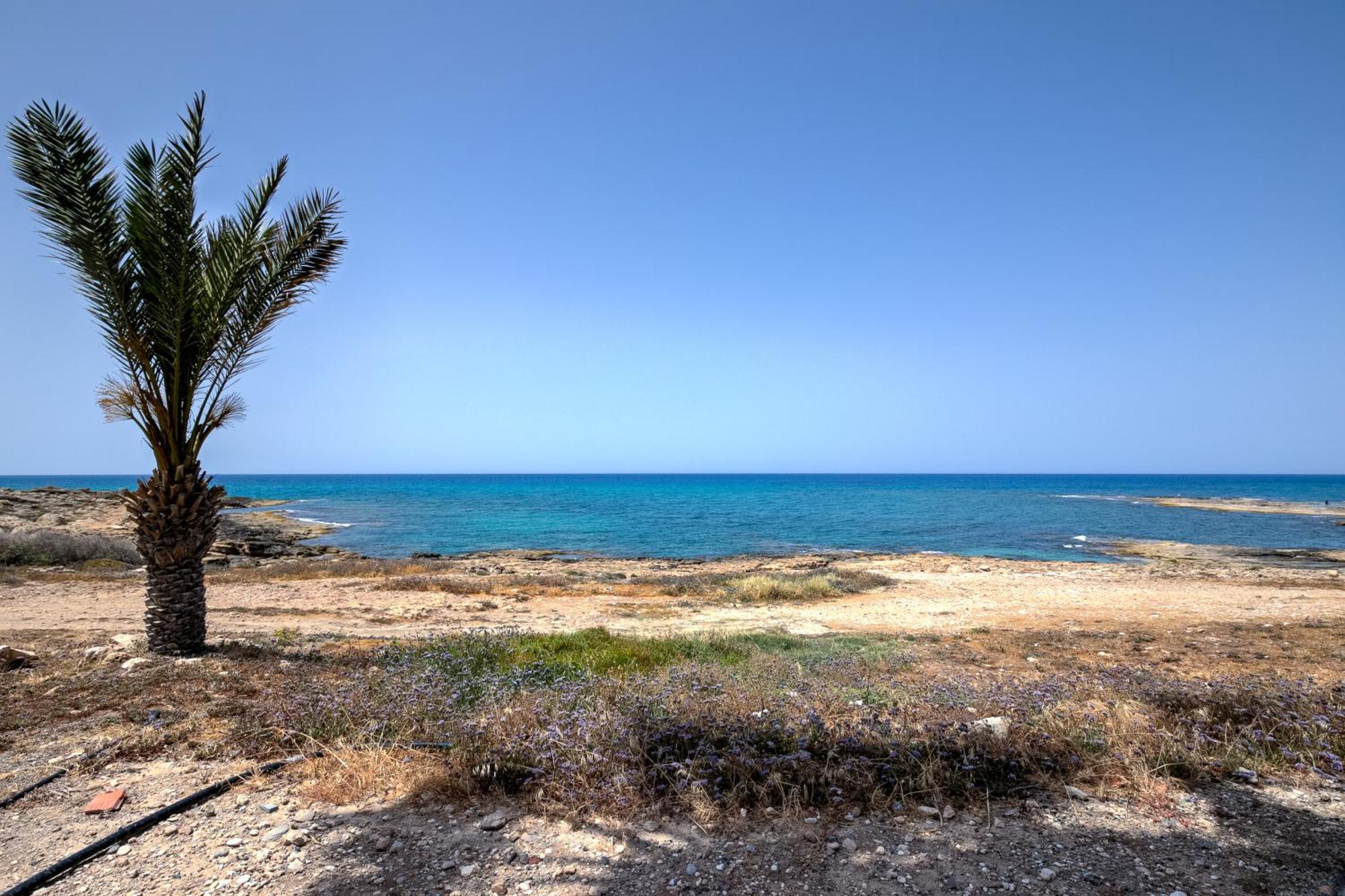 فيلات بلاتزيا بيتش بافوس المظهر الخارجي الصورة